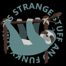 strange stuff and funky things ssaft pierre kerner paresseux sloth