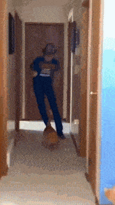 Orange Cat Cat Killer GIF