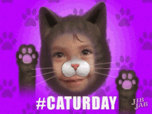 Kitty Saturday GIF - Kitty Saturday Caturday GIFs