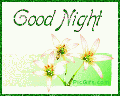 Beautiful Good Night Flowers GIF