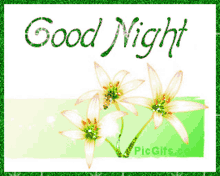 Good Night Flower GIF - Good Night Flower Sparkle GIFs