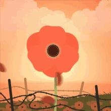Remembrance Day Veterans Day GIF - Remembrance Day Veterans Day Poppies GIFs