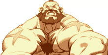 zangief street fighter red cyclone video game character