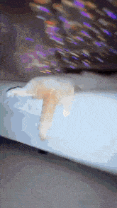 a blurred image of a cat laying on a white surface