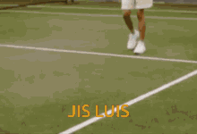 a man is standing on a tennis court with the name jis luis written on the side
