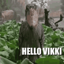 Hello Vikki GIF - Hello Vikki GIFs