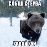 a bear with a butterfly on its back is running through the snow .