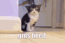 Gms Tired Gms GIF - Gms Tired Gms Tired GIFs