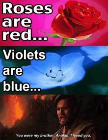 Valentines Poetry GIF - Valentines Poetry Anakin GIFs
