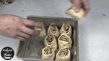 Placing The Rolls A Knead To Bake GIF - Placing The Rolls A Knead To Bake Preparing Food GIFs