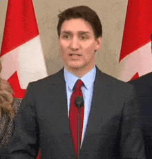 a man in a suit and tie is speaking into a microphone in front of a canadian flag