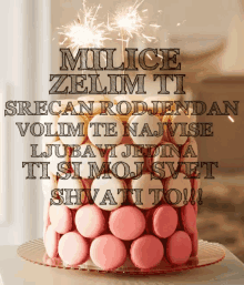 Milica Cake GIF