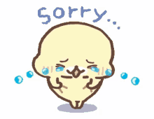 cute mamegoma seal sorry apologetic