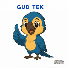 a blue and yellow parrot giving a thumbs up