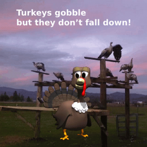 turkey meme gif
