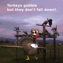 Thanksgiving Memes GIF