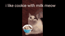 Cookie Meow GIF - Cookie Meow GIFs