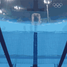 Swimming Michael Phelps GIF - Swimming Michael Phelps Olympics GIFs
