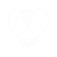 a black and white drawing of a ladybug with large wings