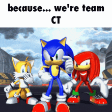 a group of sonic the hedgehog and knuckles standing next to each other