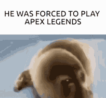 he was forced to play apex legends