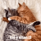 two cats are hugging each other on a bed with the words kei y eitan 3 written on the bottom .