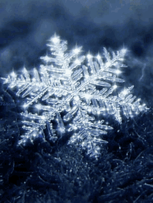 Snow Snowflake GIF - Snow Snowflake GIFs