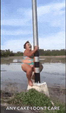 Poledance Poledancing GIF - Poledance Poledancing Girl GIFs