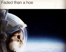 a cat is wearing a space helmet and looking at the earth .