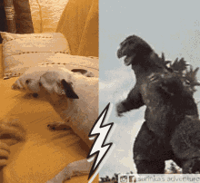 Surinka Godzilla GIF - Surinka Godzilla Dog GIFs