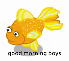 Goldfish Sgt Goldfish GIF - Goldfish Sgt Goldfish Ohlain GIFs