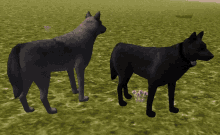 wolfquest official