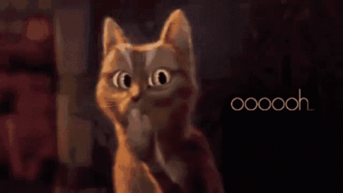 Ooh Cat GIF - Ooh Cat Cute - Discover & Share GIFs