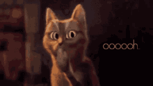 Ooh Cat GIF - Ooh Cat Cute GIFs