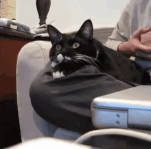I'Ve Seen Some Shit... GIF - Cat Stare Amazed GIFs