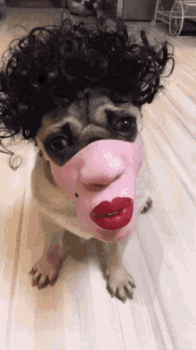 bizarre weird face pug mask