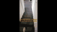 Leaving Stairs GIF - Leaving Stairs GIFs