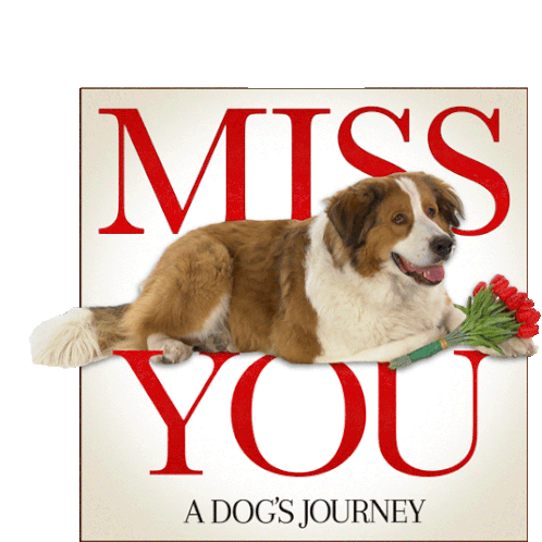 Miss You Gloomy Sticker - Miss You Gloomy Sad Puppy Stickers