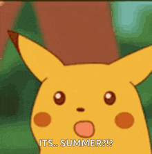 Shocked Pikachu Face Summer GIF - Shocked Pikachu Face Pikachu Pika GIFs