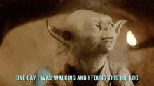 Yoda Star Wars GIF - Yoda Star Wars Log GIFs