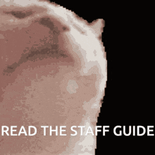 Staff Ruby GIF - Staff Ruby Guide GIFs