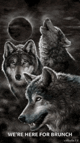 wolf full moon howling night