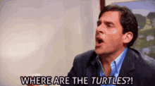 Gimme Them Turtles Where Are The Turtles GIF - Gimme Them Turtles Where Are The Turtles Scream GIFs
