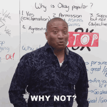 Why Not James GIF - Why Not James Engvid GIFs