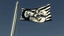 a black and white flag with a woman and a lion on it