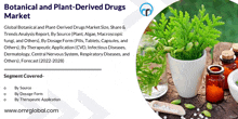 Botanical And Plant Derived Drugs Market GIF - Botanical And Plant Derived Drugs Market GIFs