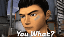 shenmue shenmue you what you what huh what did you say
