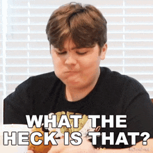 What The Heck Is That Vito The Kid GIF - What The Heck Is That Vito The Kid Chris Frezza GIFs