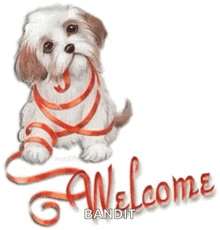 a picture of a dog with a red ribbon around its neck and the words welcome bandit