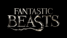 Fantastic Beasts Harry Potter GIF - Fantastic Beasts Harry Potter Wizarding World GIFs